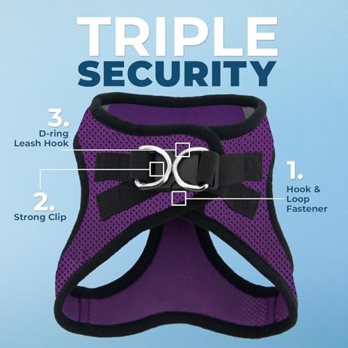 Best Pet Supplies Voyager Step-in Air Dog Harness - All Weather Mesh Step in Vest Harness for Small and Medium Dogs by - Harness (Fuchsia), Medium