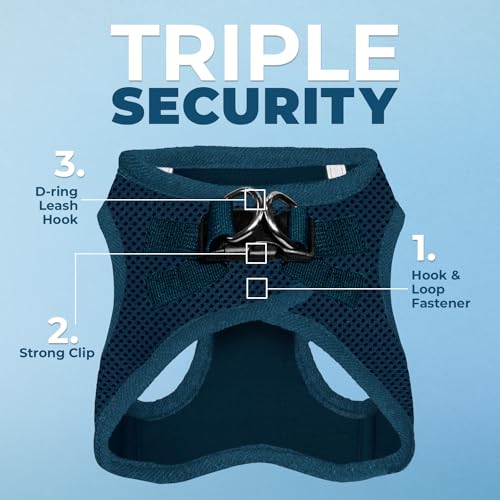 Best Pet Supplies Voyager Step-in Air Dog Harness - All Weather Mesh Step in Vest Harness for Small and Medium Dogs by - Harness (Fuchsia), Medium
