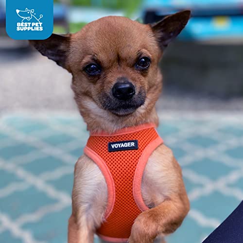 Best Pet Supplies Voyager Step-in Air Dog Harness - All Weather Mesh Step in Vest Harness for Small and Medium Dogs by - Harness (Fuchsia), Medium
