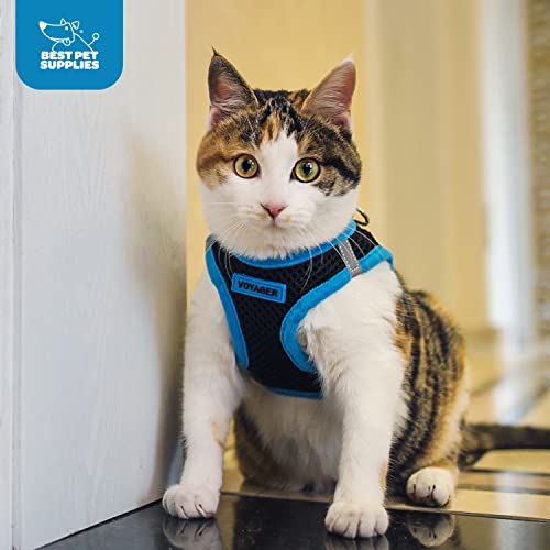 Best Pet Supplies Voyager Step-in Air Dog Harness - All Weather Mesh Step in Vest Harness for Small and Medium Dogs by - Harness (Fuchsia), Medium