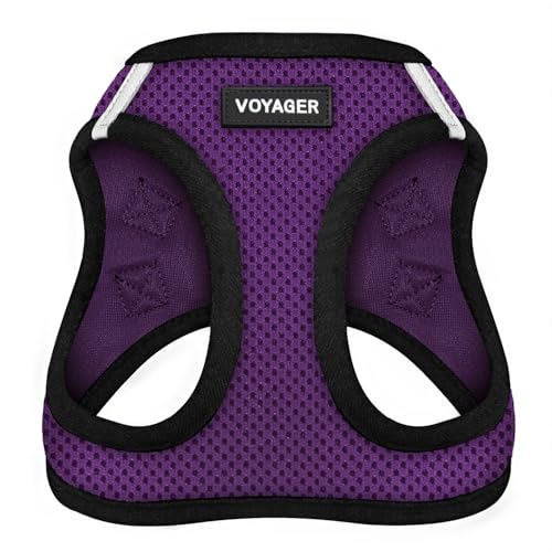 Best Pet Supplies Voyager Step-in Air Dog Harness - All Weather Mesh Step in Vest Harness for Small and Medium Dogs by - Harness (Fuchsia), Medium