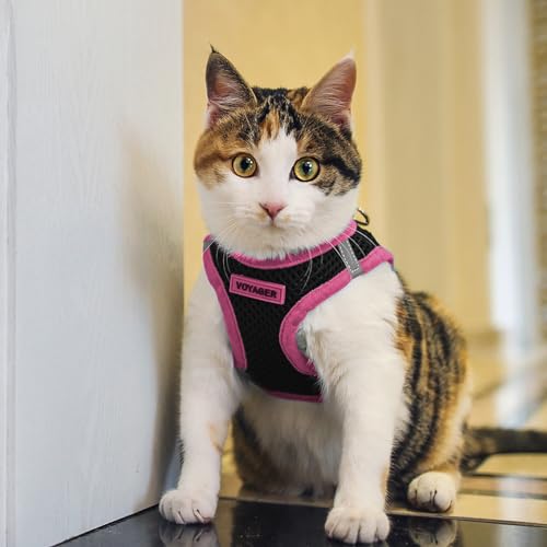 Voyager Step-In Air Dog Harness - All Weather Mesh, Reflective, No Pull Harness for Small, Medium Dogs, Cats - Secure with Hook & Loop Fastener, Buckle, Double D-Rings - Black/Black Trim, S