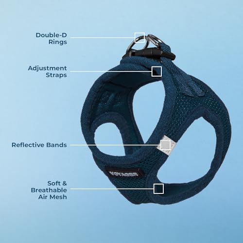 Best Pet Supplies Voyager Step-in Air Dog Harness - All Weather Mesh Step in Vest Harness for Small and Medium Dogs by - Harness (Fuchsia), Medium