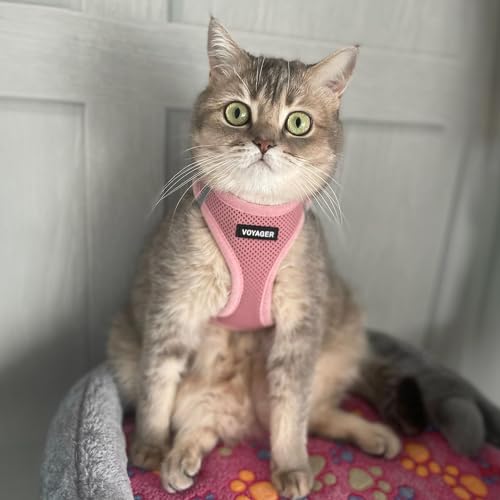 Best Pet Supplies Voyager Step-in Air Dog Harness - All Weather Mesh Step in Vest Harness for Small and Medium Dogs by - Harness (Fuchsia), Medium