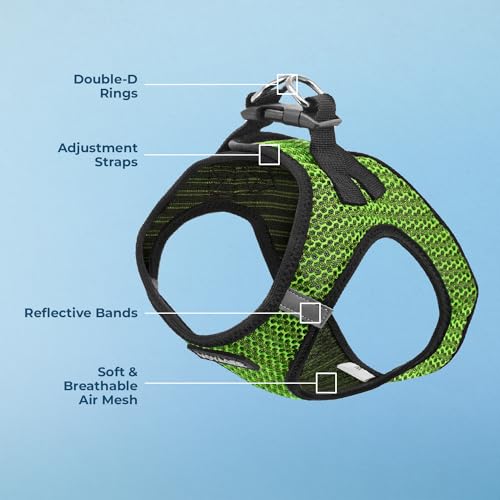 Best Pet Supplies Voyager Step-in Air Dog Harness - All Weather Mesh Step in Vest Harness for Small and Medium Dogs by - Harness (Fuchsia), Medium