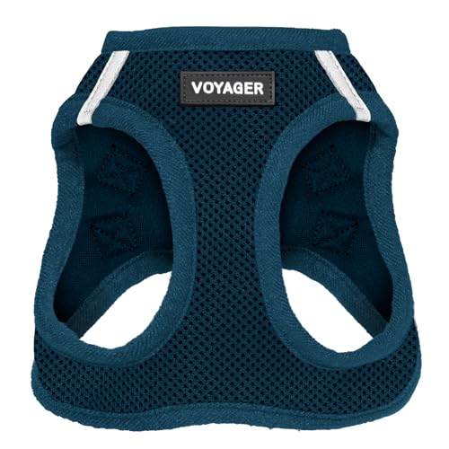 Best Pet Supplies Voyager Step-in Air Dog Harness - All Weather Mesh Step in Vest Harness for Small and Medium Dogs by - Harness (Fuchsia), Medium