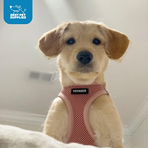 Best Pet Supplies Voyager Step-in Air Dog Harness - All Weather Mesh Step in Vest Harness for Small and Medium Dogs by - Harness (Fuchsia), Medium