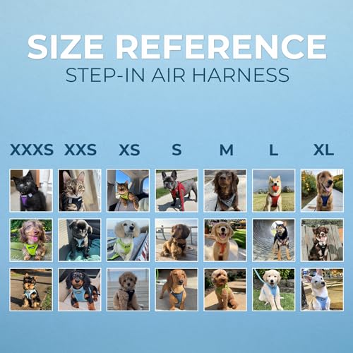 Best Pet Supplies Voyager Step-in Air Dog Harness - All Weather Mesh Step in Vest Harness for Small and Medium Dogs by - Harness (Fuchsia), Medium