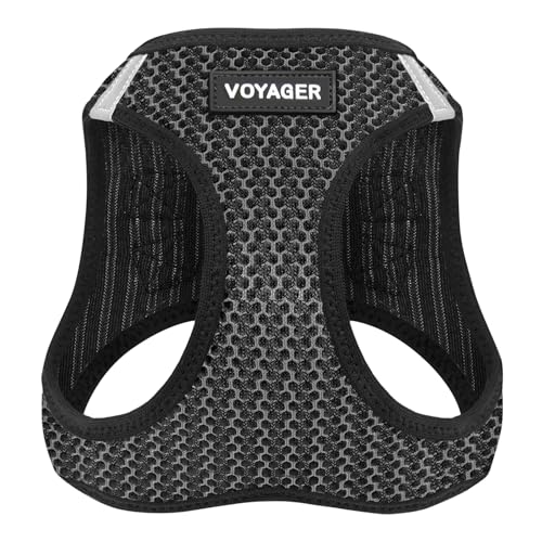Best Pet Supplies Voyager Step-in Air Dog Harness - All Weather Mesh Step in Vest Harness for Small and Medium Dogs by - Harness (Fuchsia), Medium