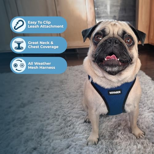 Best Pet Supplies Voyager Step-in Air Dog Harness - All Weather Mesh Step in Vest Harness for Small and Medium Dogs by - Harness (Fuchsia), Medium