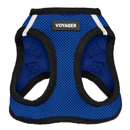 Best Pet Supplies Voyager Step-in Air Dog Harness - All Weather Mesh Step in Vest Harness for Small and Medium Dogs by - Harness (Fuchsia), Medium
