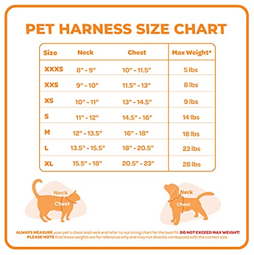 Best Pet Supplies Voyager Step-in Air Dog Harness - All Weather Mesh Step in Vest Harness for Small and Medium Dogs by - Harness (Fuchsia), Medium