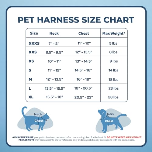 Best Pet Supplies Voyager Step-in Air Dog Harness - All Weather Mesh Step in Vest Harness for Small and Medium Dogs by - Harness (Fuchsia), Medium