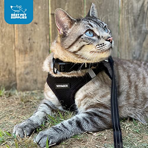 Voyager Step-In Air Dog Harness - All Weather Mesh, Reflective, No Pull Harness for Small, Medium Dogs, Cats - Secure with Hook & Loop Fastener, Buckle, Double D-Rings - Black/Black Trim, S
