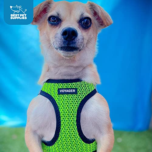 Best Pet Supplies Voyager Step-in Air Dog Harness - All Weather Mesh Step in Vest Harness for Small and Medium Dogs by - Harness (Fuchsia), Medium