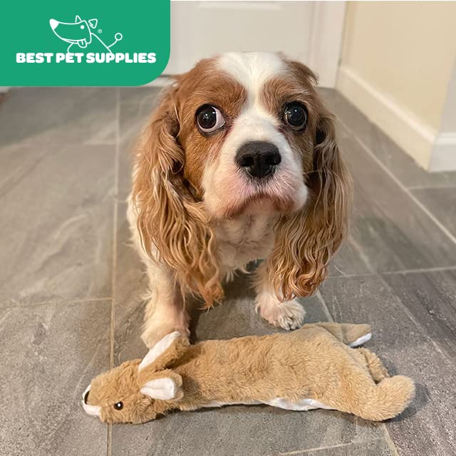 Best Pet Supplies 2-in-1 Stuffless Squeaky Dog Toys with Soft, Durable Fabric for Small, Medium, and Large Pets, No Stuffing for Indoor Play, Supports Active Biting and Play - 1Wild Duck, Small