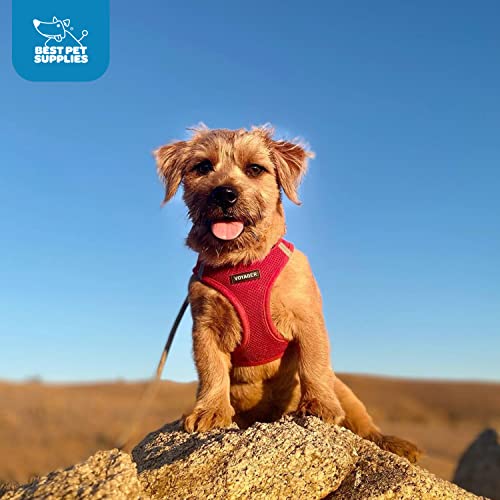 Best Pet Supplies Voyager Step-in Air Dog Harness - All Weather Mesh Step in Vest Harness for Small and Medium Dogs by - Harness (Fuchsia), Medium