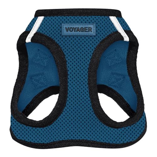Best Pet Supplies Voyager Step-in Air Dog Harness - All Weather Mesh Step in Vest Harness for Small and Medium Dogs by - Harness (Fuchsia), Medium