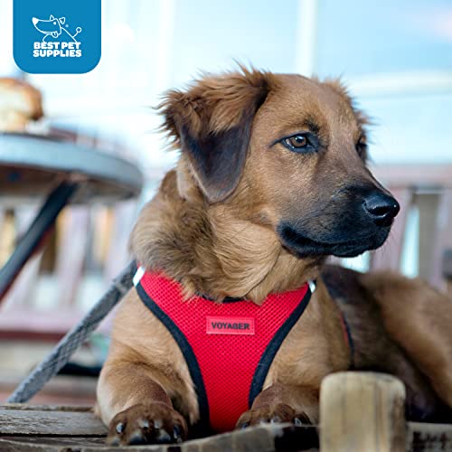 Voyager Step-In Air Dog Harness - All Weather Mesh, Reflective, No Pull Harness for Small, Medium Dogs, Cats - Secure with Hook & Loop Fastener, Buckle, Double D-Rings - Black/Black Trim, S