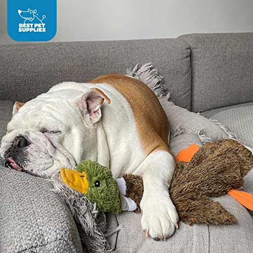 Best Pet Supplies 2-in-1 Stuffless Squeaky Dog Toys with Soft, Durable Fabric for Small, Medium, and Large Pets, No Stuffing for Indoor Play, Supports Active Biting and Play - 1Wild Duck, Small