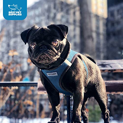 Best Pet Supplies Voyager Step-in Air Dog Harness - All Weather Mesh Step in Vest Harness for Small and Medium Dogs by - Harness (Fuchsia), Medium