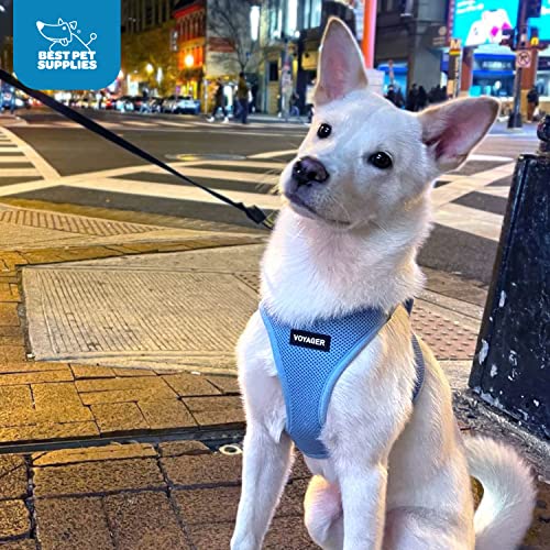 Best Pet Supplies Voyager Step-in Air Dog Harness - All Weather Mesh Step in Vest Harness for Small and Medium Dogs by - Harness (Fuchsia), Medium