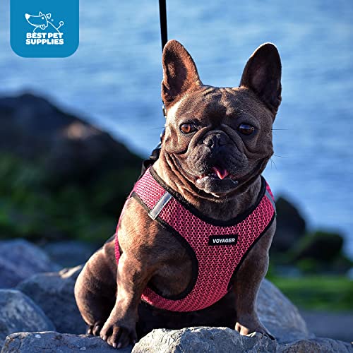 Voyager Step-In Air Dog Harness - All Weather Mesh, Reflective, No Pull Harness for Small, Medium Dogs, Cats - Secure with Hook & Loop Fastener, Buckle, Double D-Rings - Black/Black Trim, S
