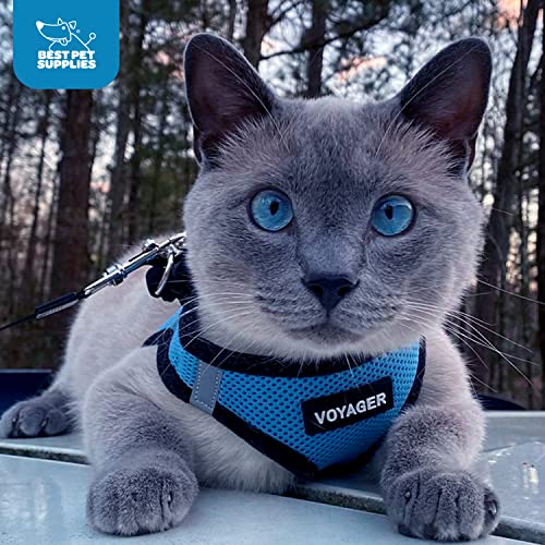 Best Pet Supplies Voyager Step-in Air Dog Harness - All Weather Mesh Step in Vest Harness for Small and Medium Dogs by - Harness (Fuchsia), Medium