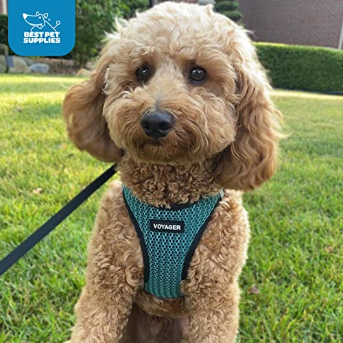 Best Pet Supplies Voyager Step-in Air Dog Harness - All Weather Mesh Step in Vest Harness for Small and Medium Dogs by - Harness (Fuchsia), Medium