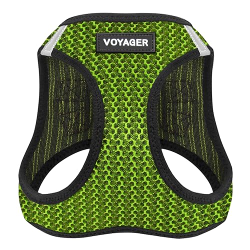 Best Pet Supplies Voyager Step-in Air Dog Harness - All Weather Mesh Step in Vest Harness for Small and Medium Dogs by - Harness (Fuchsia), Medium