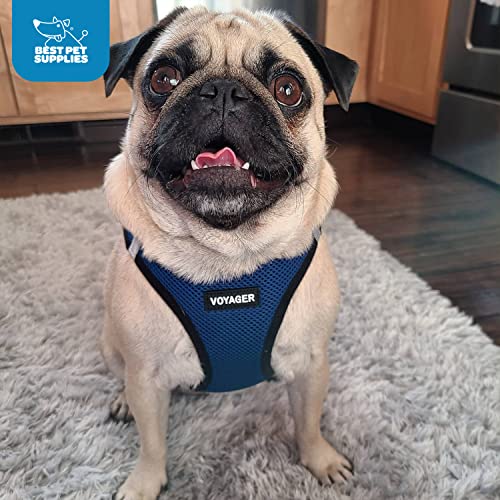 Voyager Step-In Air Dog Harness - All Weather Mesh, Reflective, No Pull Harness for Small, Medium Dogs, Cats - Secure with Hook & Loop Fastener, Buckle, Double D-Rings - Black/Black Trim, S