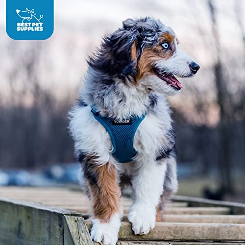 Best Pet Supplies Voyager Step-in Air Dog Harness - All Weather Mesh Step in Vest Harness for Small and Medium Dogs by - Harness (Fuchsia), Medium