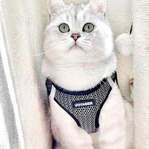 Best Pet Supplies Voyager Step-in Air Dog Harness - All Weather Mesh Step in Vest Harness for Small and Medium Dogs by - Harness (Fuchsia), Medium