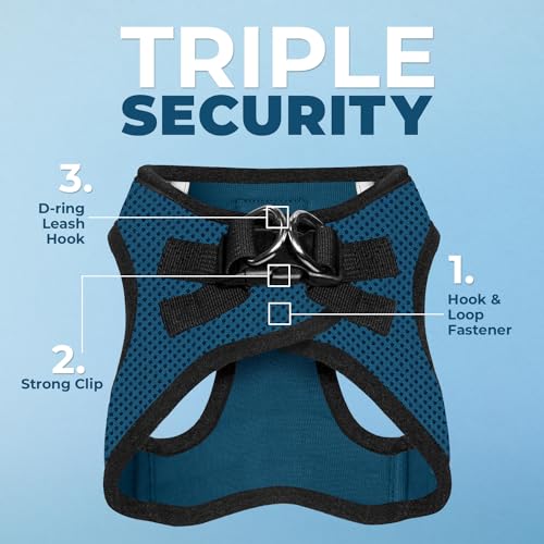 Best Pet Supplies Voyager Step-in Air Dog Harness - All Weather Mesh Step in Vest Harness for Small and Medium Dogs by - Harness (Fuchsia), Medium