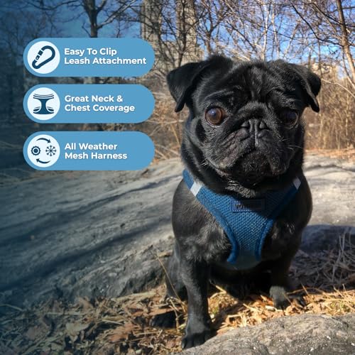 Best Pet Supplies Voyager Step-in Air Dog Harness - All Weather Mesh Step in Vest Harness for Small and Medium Dogs by - Harness (Fuchsia), Medium