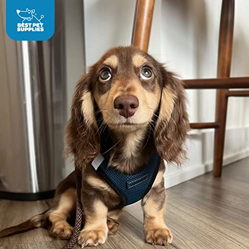 Voyager Step-In Air Dog Harness - All Weather Mesh, Reflective, No Pull Harness for Small, Medium Dogs, Cats - Secure with Hook & Loop Fastener, Buckle, Double D-Rings - Black/Black Trim, S