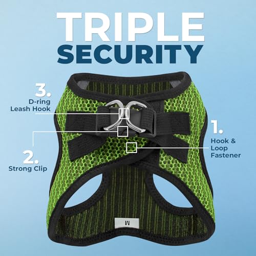 Best Pet Supplies Voyager Step-in Air Dog Harness - All Weather Mesh Step in Vest Harness for Small and Medium Dogs by - Harness (Fuchsia), Medium
