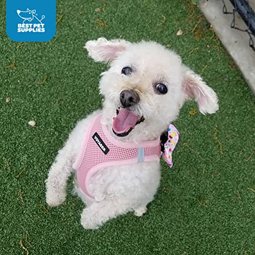 Best Pet Supplies Voyager Step-in Air Dog Harness - All Weather Mesh Step in Vest Harness for Small and Medium Dogs by - Harness (Fuchsia), Medium