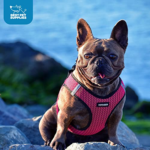 Voyager Step-In Air Dog Harness - All Weather Mesh, Reflective, No Pull Harness for Small, Medium Dogs, Cats - Secure with Hook & Loop Fastener, Buckle, Double D-Rings - Black/Black Trim, S