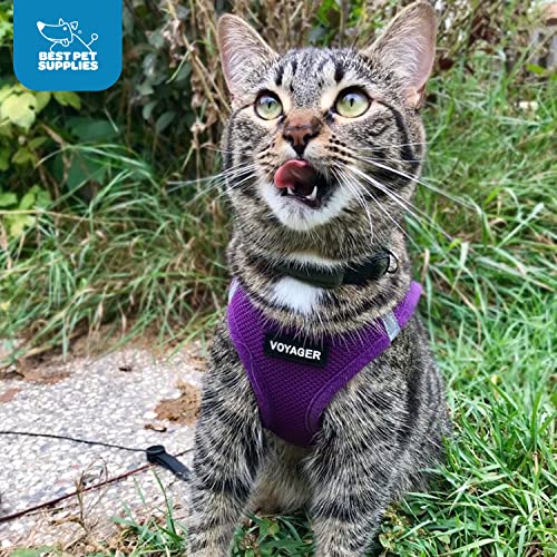 Best Pet Supplies Voyager Step-in Air Dog Harness - All Weather Mesh Step in Vest Harness for Small and Medium Dogs by - Harness (Fuchsia), Medium