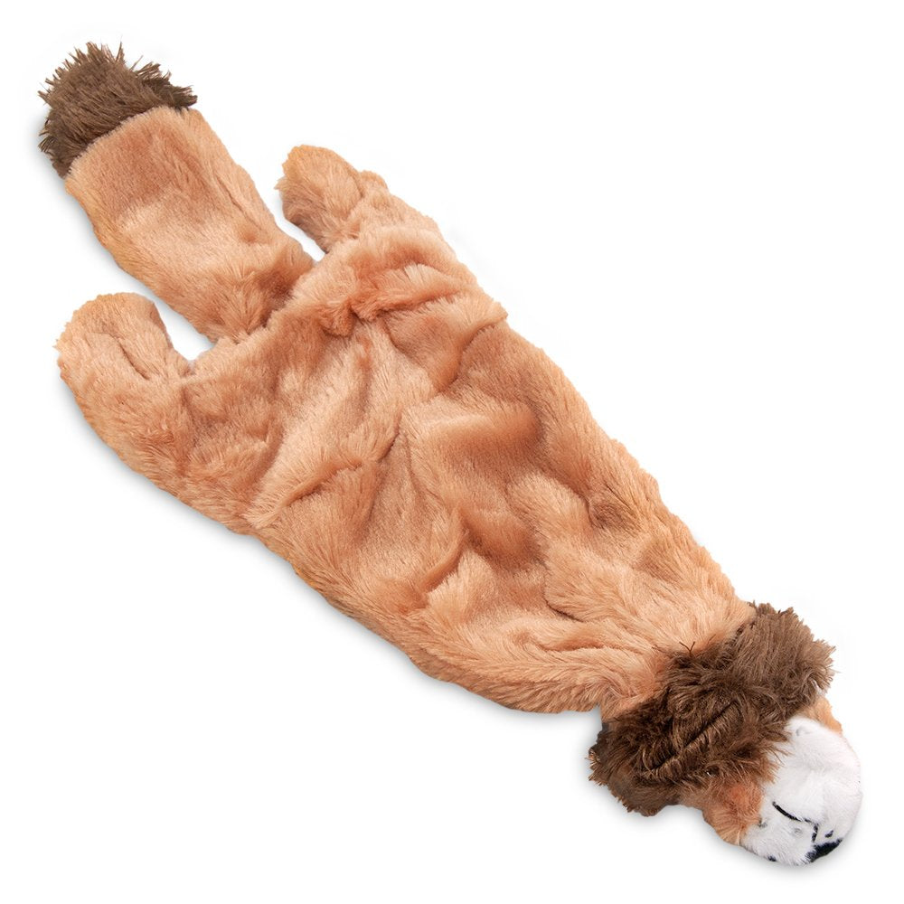 Best Pet Supplies 2-in-1 Stuffless Squeaky Dog Toys with Soft, Durable Fabric for Small, Medium, and Large Pets, No Stuffing for Indoor Play, Supports Active Biting and Play - 1Wild Duck, Small