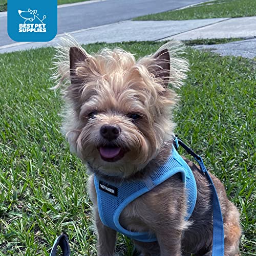 Best Pet Supplies Voyager Step-in Air Dog Harness - All Weather Mesh Step in Vest Harness for Small and Medium Dogs by - Harness (Fuchsia), Medium