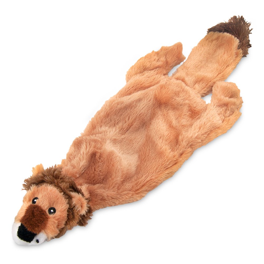Best Pet Supplies 2-in-1 Stuffless Squeaky Dog Toys with Soft, Durable Fabric for Small, Medium, and Large Pets, No Stuffing for Indoor Play, Supports Active Biting and Play - 1Wild Duck, Small