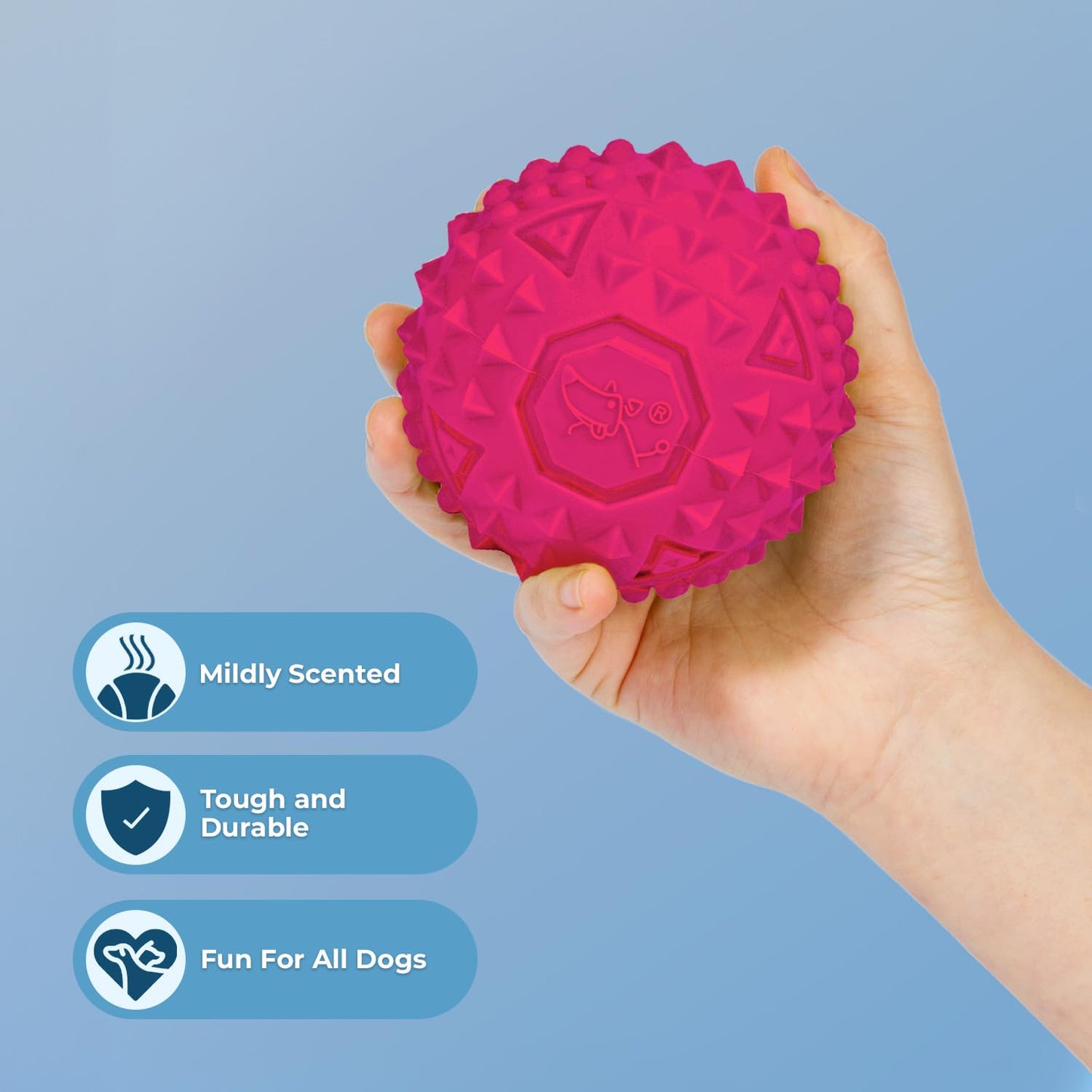 Best Pet Supplies 2-in-1 Stuffless Squeaky Dog Toys with Soft, Durable Fabric for Small, Medium, and Large Pets, No Stuffing for Indoor Play, Supports Active Biting and Play - 1Wild Duck, Small