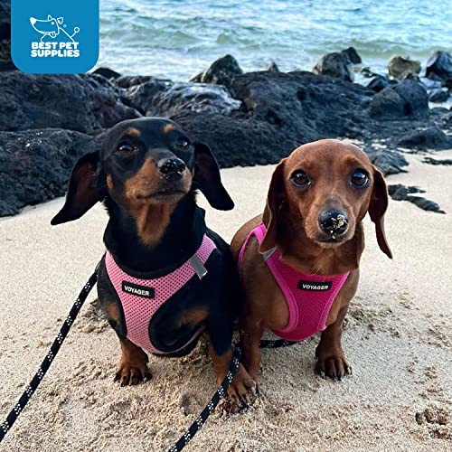 Best Pet Supplies Voyager Step-in Air Dog Harness - All Weather Mesh Step in Vest Harness for Small and Medium Dogs by - Harness (Fuchsia), Medium