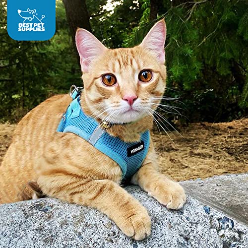 Best Pet Supplies Voyager Step-in Air Dog Harness - All Weather Mesh Step in Vest Harness for Small and Medium Dogs by - Harness (Fuchsia), Medium