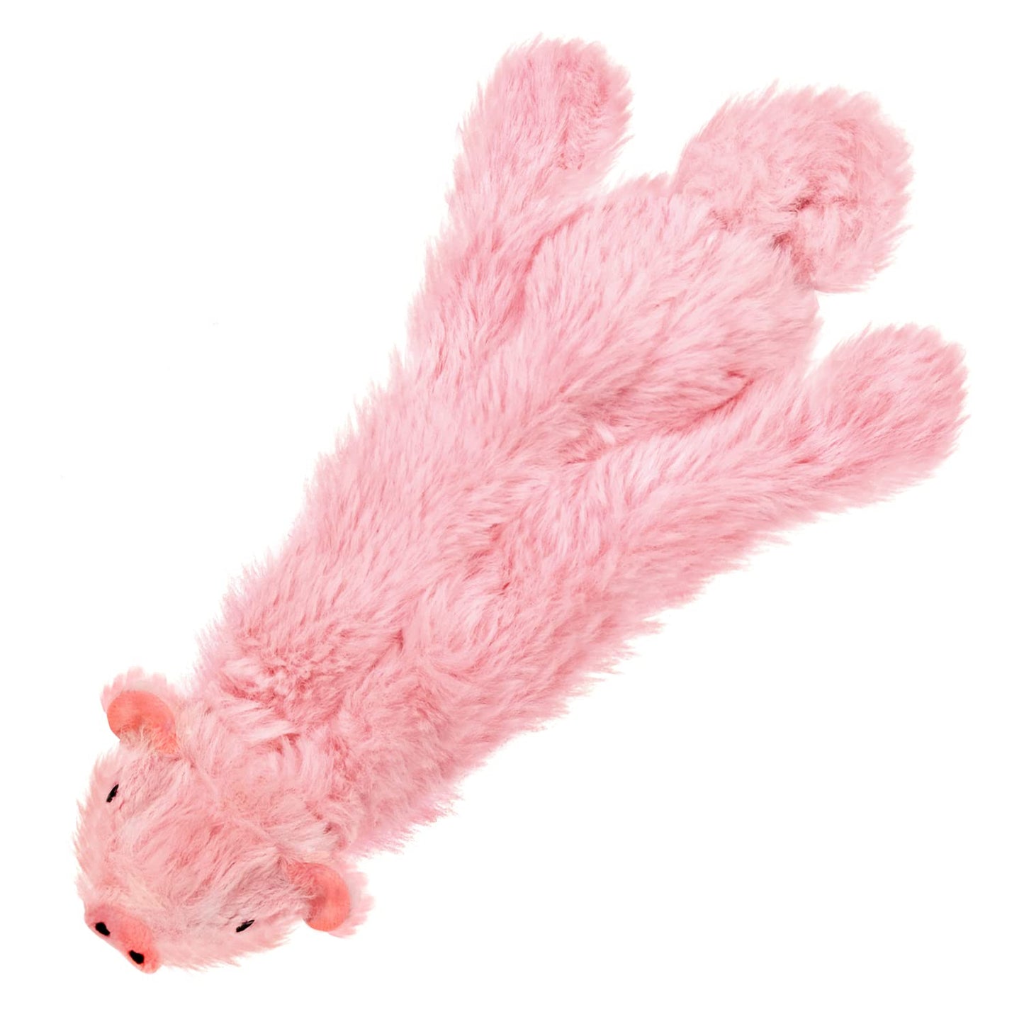 Best Pet Supplies 2-in-1 Stuffless Squeaky Dog Toys with Soft, Durable Fabric for Small, Medium, and Large Pets, No Stuffing for Indoor Play, Supports Active Biting and Play - 1Wild Duck, Small