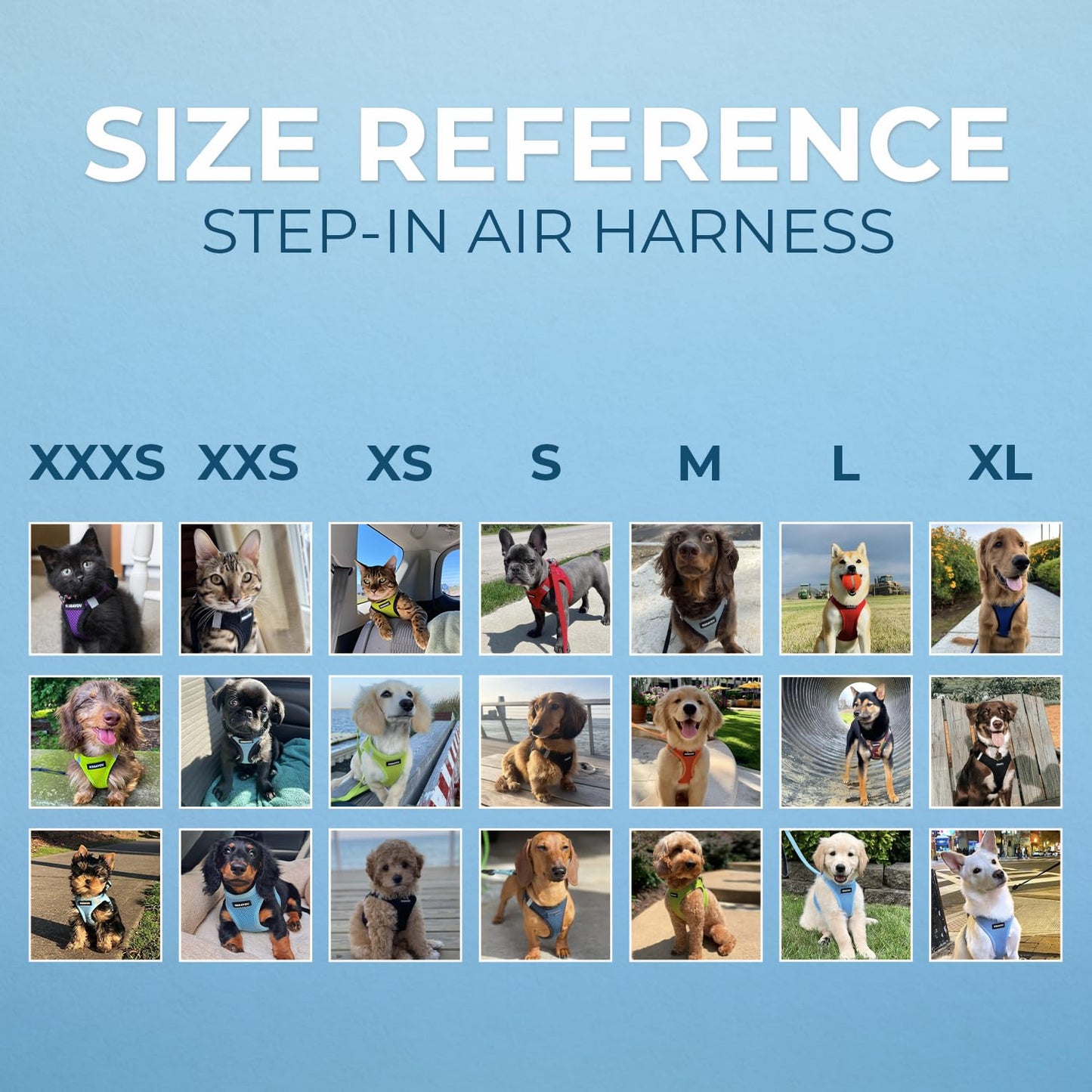 Voyager Step-In Air Dog Harness - All Weather Mesh, Reflective, No Pull Harness for Small, Medium Dogs, Cats - Secure with Hook & Loop Fastener, Buckle, Double D-Rings - Black/Black Trim, S