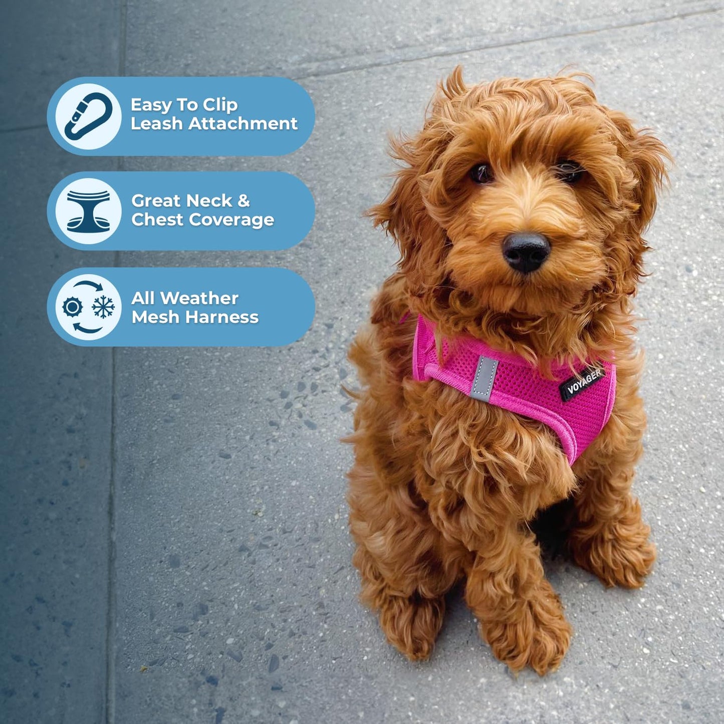 Best Pet Supplies Voyager Step-in Air Dog Harness - All Weather Mesh Step in Vest Harness for Small and Medium Dogs by - Harness (Fuchsia), Medium