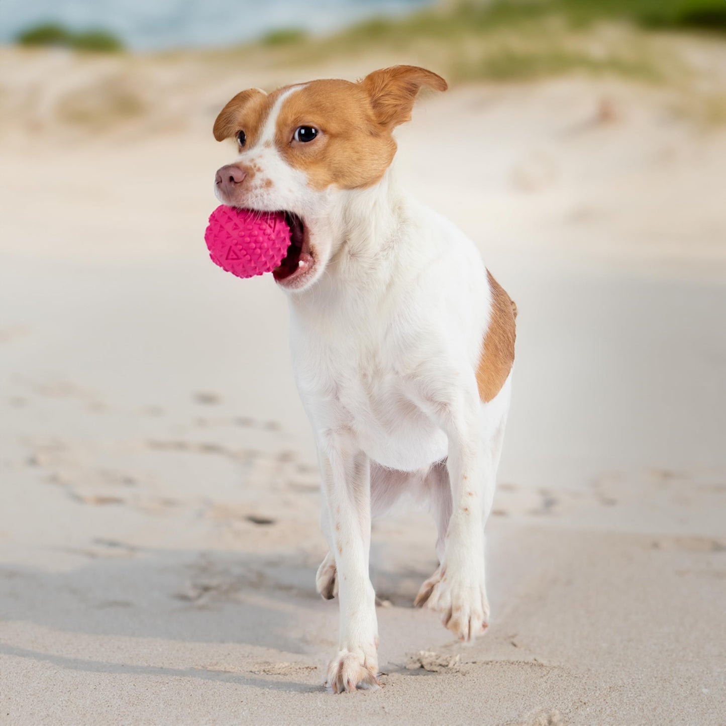 Best Pet Supplies 2-in-1 Stuffless Squeaky Dog Toys with Soft, Durable Fabric for Small, Medium, and Large Pets, No Stuffing for Indoor Play, Supports Active Biting and Play - 1Wild Duck, Small